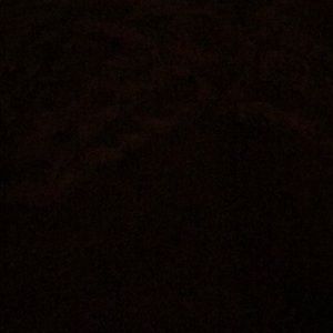 Meet your Posher, Janki